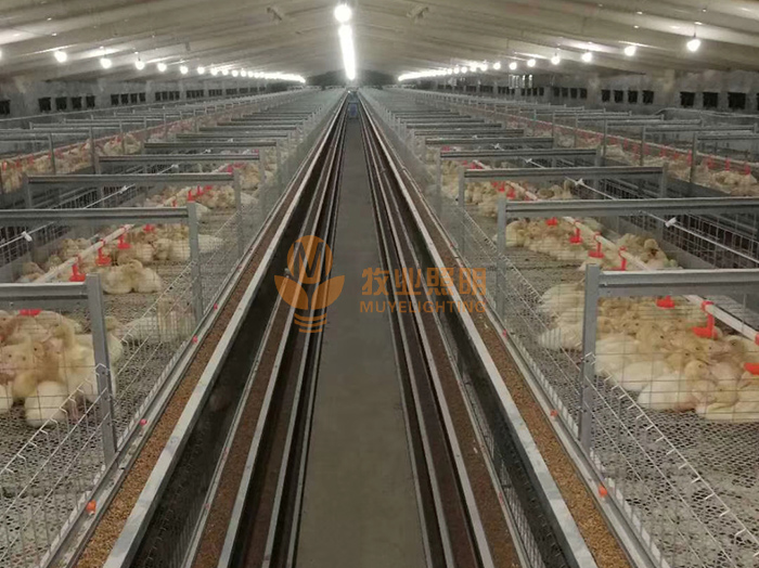 新型養(yǎng)殖廠專用照明燈廠家 雞舍專用節(jié)能燈的性能特點(diǎn)